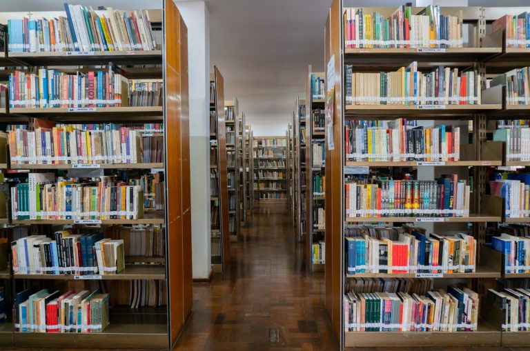 Biblioteca Pio Vargas fecha 2025 com 20 mil atendimentos e acervo em expansão