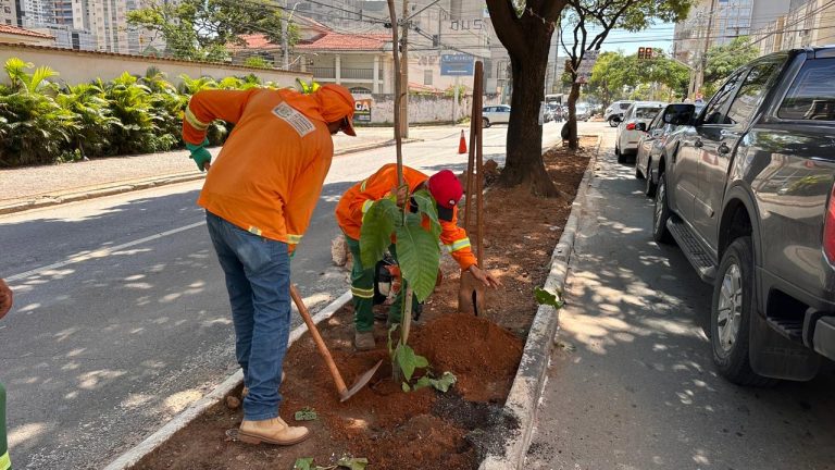 Comurg planta mais de 1,9 mil árvores em 70 dias